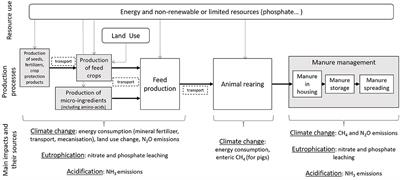 Amino Acid Supplementation to Reduce Environmental Impacts of Broiler and Pig Production: A Review